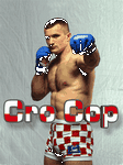 pic for Mirko Cro Cop